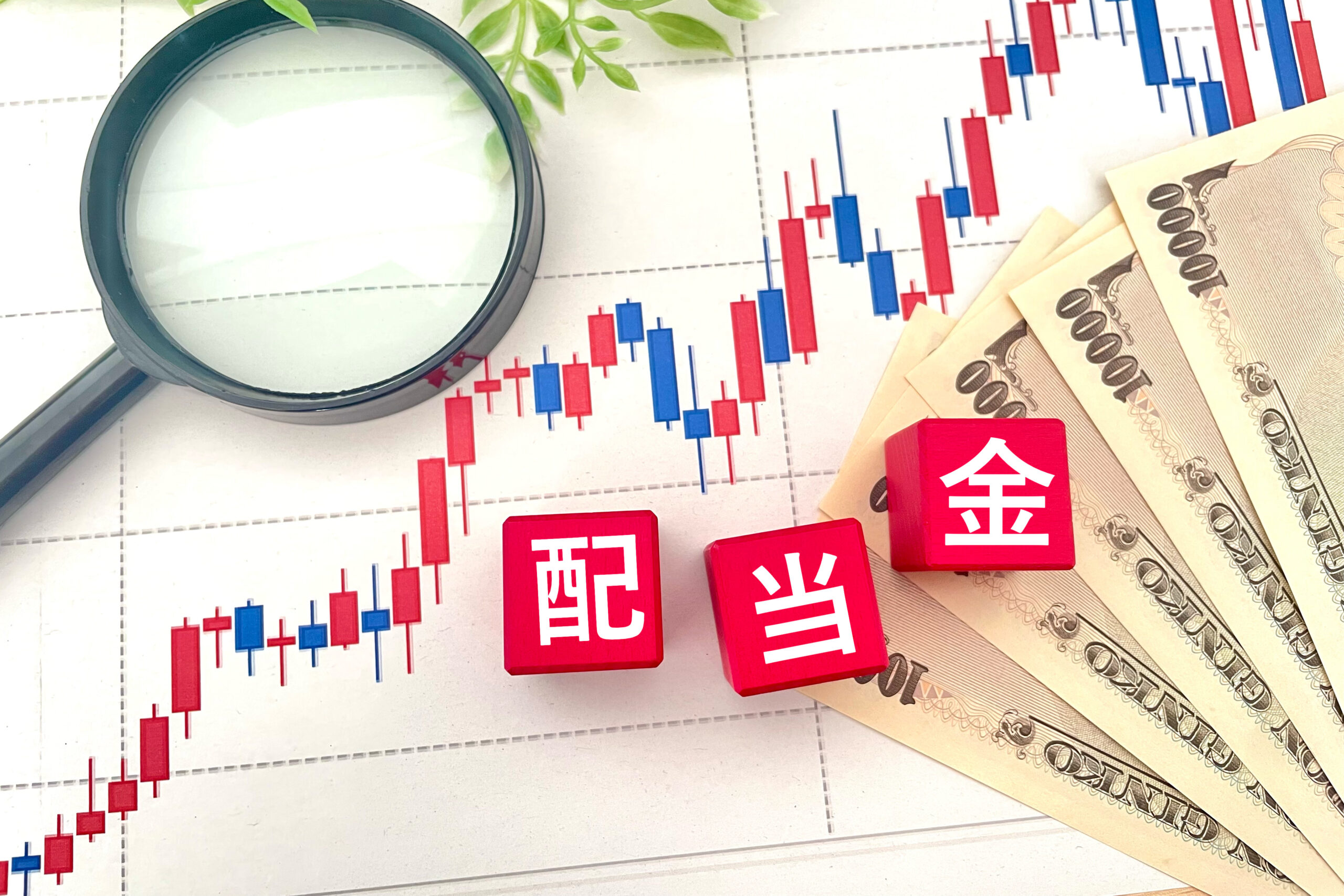 新NISAの「成長投資枠」の正しい使い方！高配当株投資と投資信託の組み合わせ方